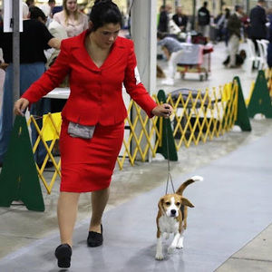 Meet your Posher, Shane